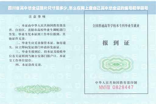 四川省高中毕业证图片尺寸是多少,怎么在网上查自己高中毕业证的编号和学籍号