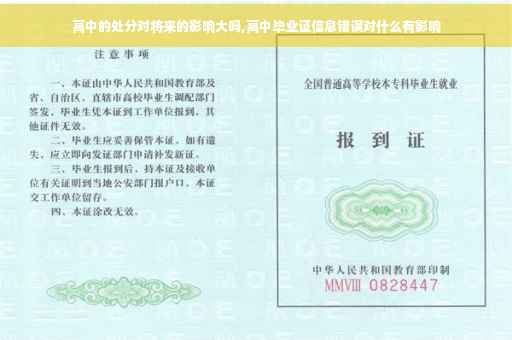 高中的处分对将来的影响大吗,高中毕业证信息错误对什么有影响