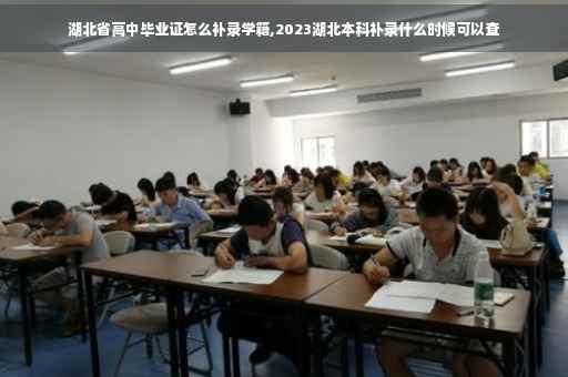 湖北省高中毕业证怎么补录学籍,2023湖北本科补录什么时候可以查