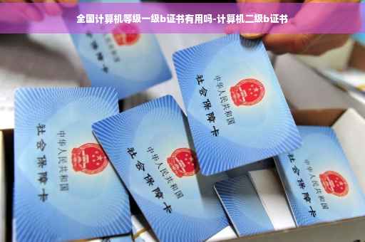 全国计算机等级一级b证书有用吗-计算机二级b证书