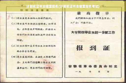 计算机证书去哪里报名(计算机证书去哪里报名考试)