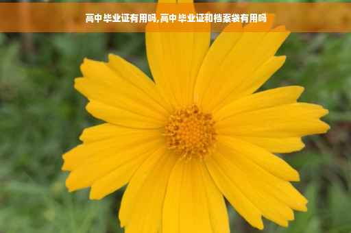 高中毕业证有用吗,高中毕业证和档案袋有用吗