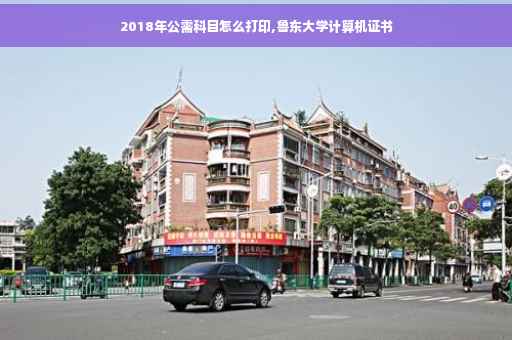 2018年公需科目怎么打印,鲁东大学计算机证书