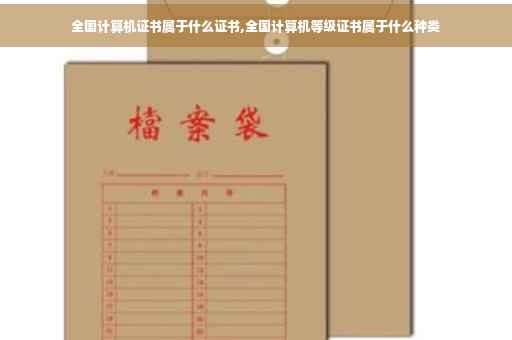 全国计算机证书属于什么证书,全国计算机等级证书属于什么种类
