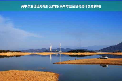 高中毕业证证号是什么样的(高中毕业证证号是什么样的啊)