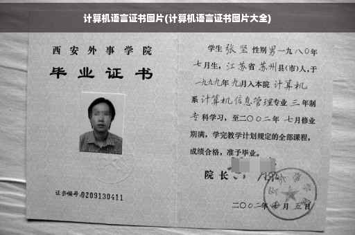 计算机语言证书图片(计算机语言证书图片大全)
