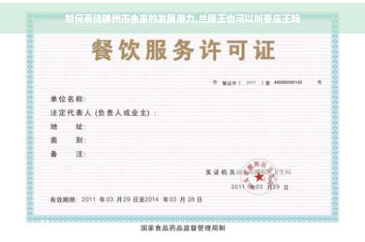 如何看待滕州市未来的发展潜力,兰陵王也可以叫枣庄王吗