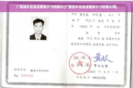 广西高中毕业证要多少寸的照片(广西高中毕业证要多少寸的照片呢)