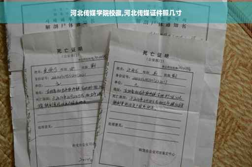 河北传媒学院校徽,河北传媒证件照几寸