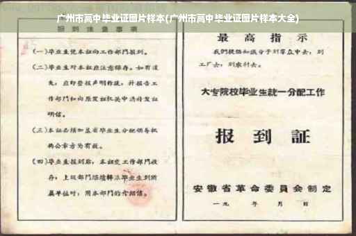 广州市高中毕业证图片样本(广州市高中毕业证图片样本大全)