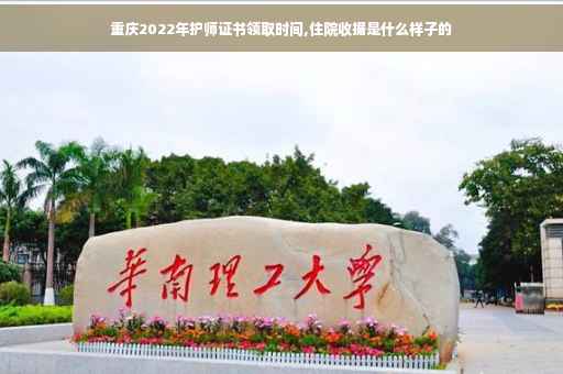 重庆2022年护师证书领取时间,住院收据是什么样子的