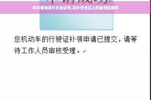 怎样查询高中毕业证号,高中毕业证上的编号能查吗