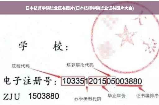 日本技师学院毕业证书图片(日本技师学院毕业证书图片大全)
