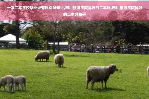 一本二本学校毕业证有区别吗知乎,四川旅游学院算好的二本吗,四川旅游学院算好的二本吗知乎