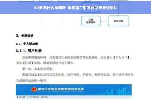 30岁学什么乐器好-乐都第二中学高中毕业证图片