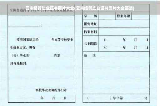 云南经管毕业证书图片大全(云南经管毕业证书图片大全高清)