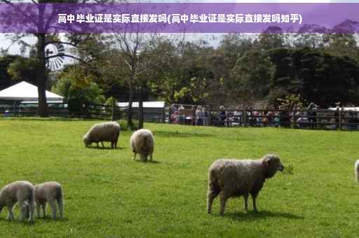 高中毕业证是实际直接发吗(高中毕业证是实际直接发吗知乎)