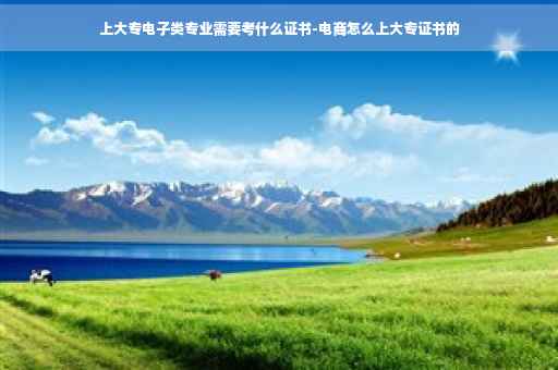 上大专电子类专业需要考什么证书-电商怎么上大专证书的