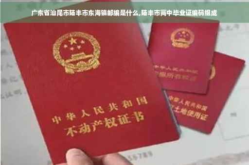 广东省汕尾市陆丰市东海镇邮编是什么,陆丰市高中毕业证编码组成