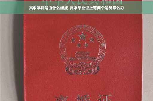 高中学籍号由什么组成-高中毕业证上有两个号码怎么办