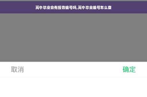 高中毕业会有报告编号吗,高中毕业编号怎么查