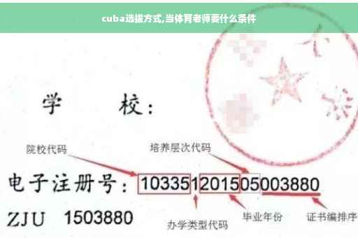 cuba选拔方式,当体育老师要什么条件