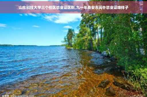 山东科技大学三个校区毕业证区别,九一年泰安市高中毕业证啥样子