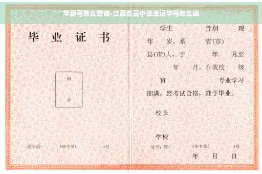 学籍号怎么查询-江西省高中毕业证学号怎么填
