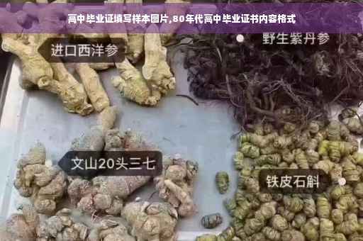 高中毕业证填写样本图片,80年代高中毕业证书内容格式