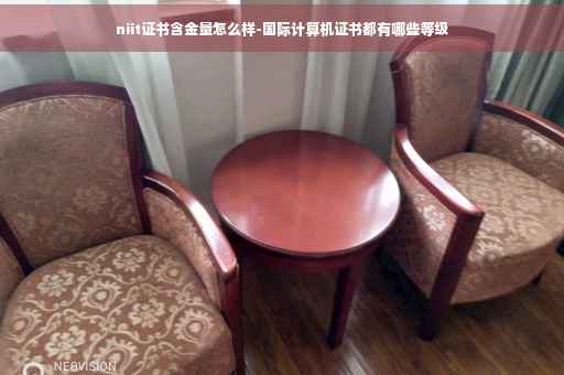 niit证书含金量怎么样-国际计算机证书都有哪些等级