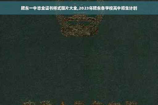 肥东一中毕业证书样式图片大全,2023年肥东各学校高中招生计划