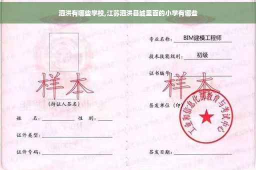 泗洪有哪些学校,江苏泗洪县城里面的小学有哪些