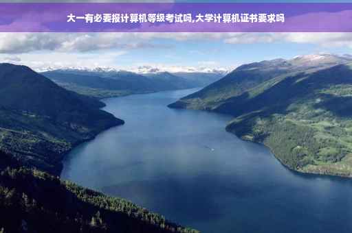 大一有必要报计算机等级考试吗,大学计算机证书要求吗