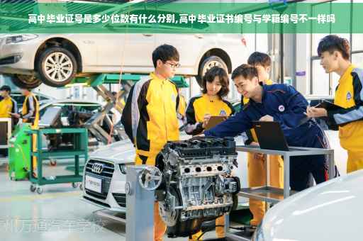 高中毕业证号是多少位数有什么分别,高中毕业证书编号与学籍编号不一样吗
