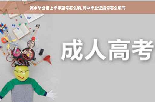 高中毕业证上毕字第号怎么填,高中毕业证编号怎么填写