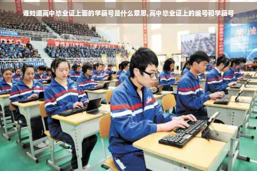 谁知道高中毕业证上面的学籍号是什么意思,高中毕业证上的编号和学籍号