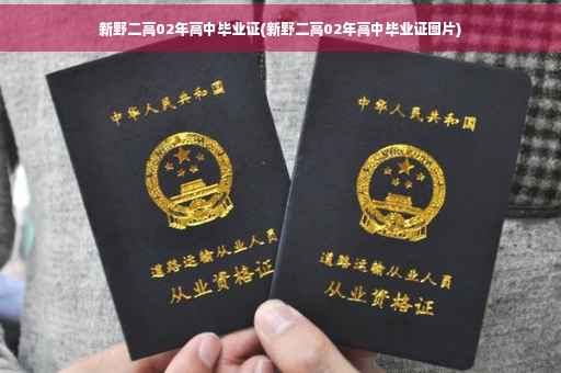 新野二高02年高中毕业证(新野二高02年高中毕业证图片)
