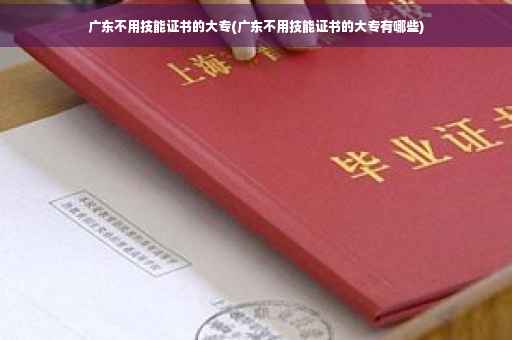 广东不用技能证书的大专(广东不用技能证书的大专有哪些)