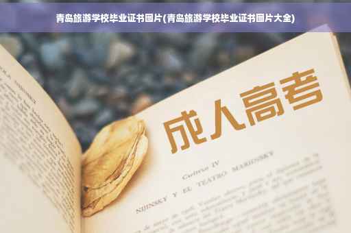 青岛旅游学校毕业证书图片(青岛旅游学校毕业证书图片大全)