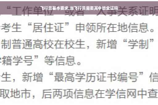 飞行员基本要求,当飞行员需要高中毕业证吗