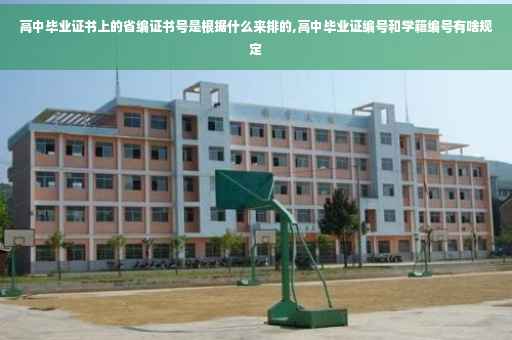 高中毕业证书上的省编证书号是根据什么来排的,高中毕业证编号和学籍编号有啥规定