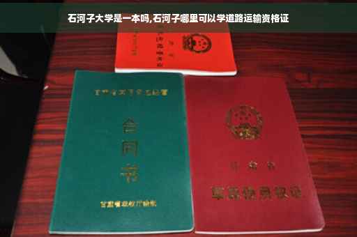 石河子大学是一本吗,石河子哪里可以学道路运输资格证