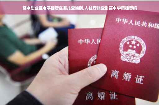 高中毕业证电子档案在哪儿查询到,人社厅能查到高中学籍档案吗