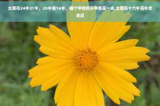 太原市24中21中，20中有16中，哪个学校的升学率高一点,太原市十六中高中毕业证
