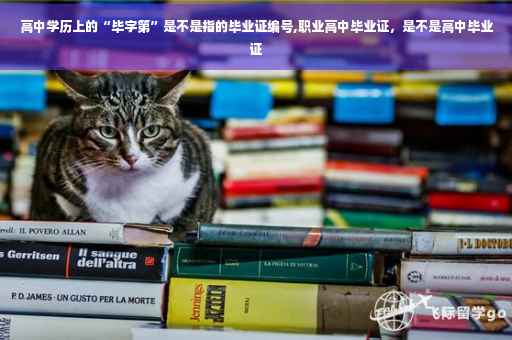 高中学历上的“毕字第”是不是指的毕业证编号,职业高中毕业证，是不是高中毕业证