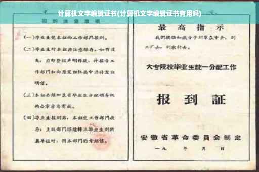 计算机文字编辑证书(计算机文字编辑证书有用吗)