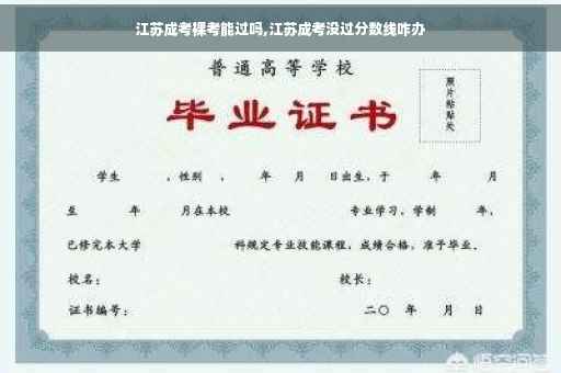 江苏成考裸考能过吗,江苏成考没过分数线咋办