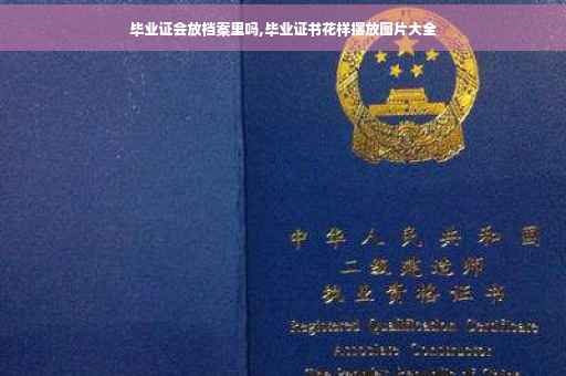 毕业证会放档案里吗,毕业证书花样摆放图片大全