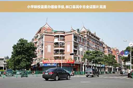 小学转校需要办哪些手续,林口县高中毕业证图片高清