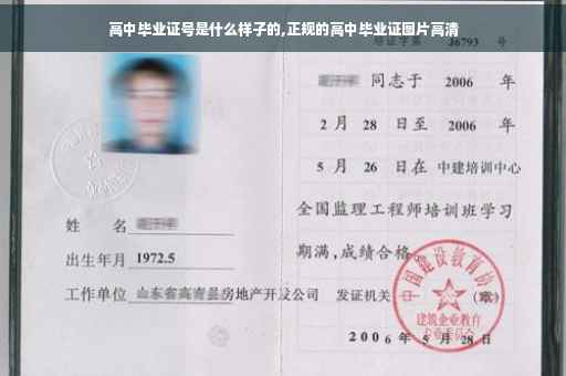 高中毕业证号是什么样子的,正规的高中毕业证图片高清
